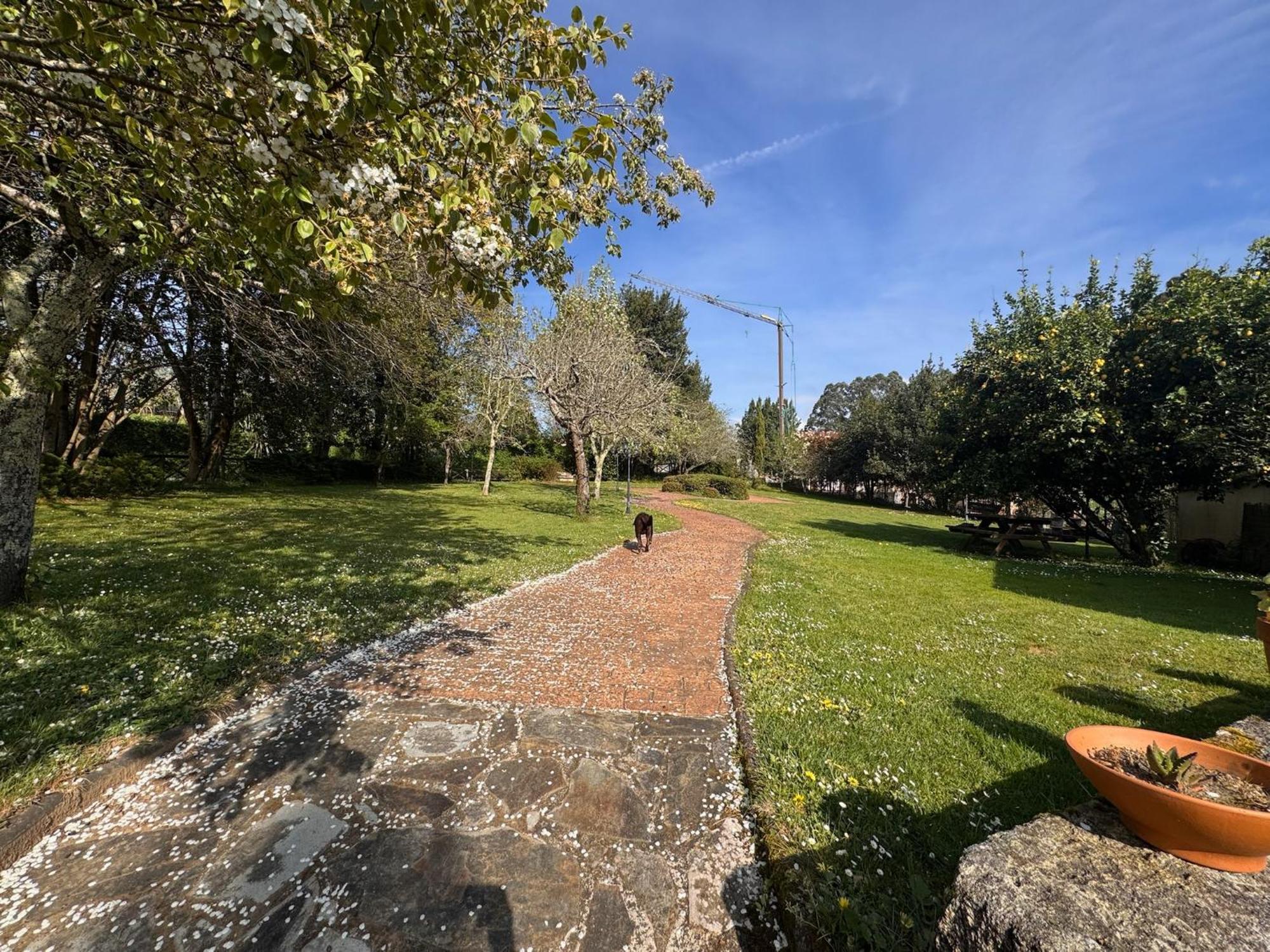 Casa Rural A Cobacha Paderne Εξωτερικό φωτογραφία